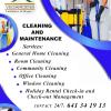 Cleaning and Maintenance