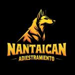 Adiestramiento Nantaican Adiestramiento Nantaican