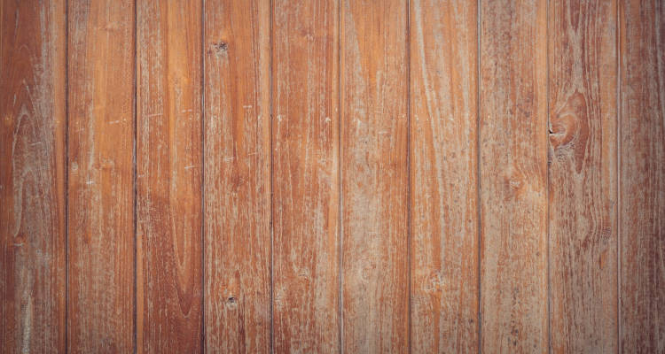 Reparar suelo de madera: daños comunes – Grupo Diacoro Business