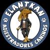 Elantkan