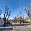 Podas Y Talas La Sierra