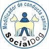 Socialdog