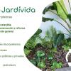 Jardívida