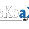 Mejora y conversión a vector del Logotipo de la empresa Ekoakua en Cartagena