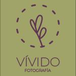 Vivido Fotografia