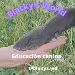 Blackys World  Olga