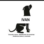 Rehabilitación Canina