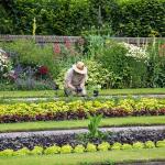 Jardinería Criser