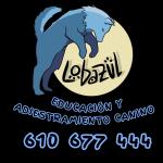 Lobazul Educación Y Adiestramiento Canino