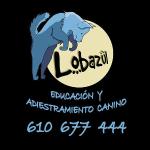 Lobazul Educación Y Adiestramiento Canino