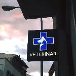 Sa Riera Centre Veterinari