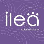 Ilea Educación Canina