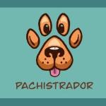 Pachistrador