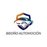 Bisoño Automoción