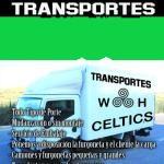 Transportes Celtics