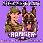 Adiestramiento Canino