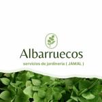 Albarruecos